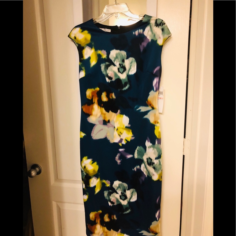 Floral multicolored Maggy London dress